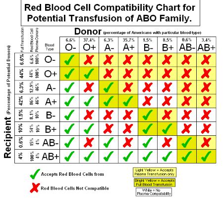 Blood Type Inheritance in Humans | Overview & Patterns - Video & Lesson Transcript | Study.com