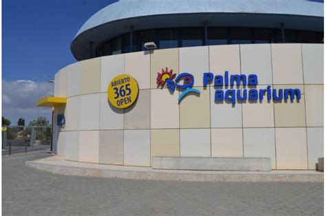 Palma Aquarium tickets | Mallorca Pass