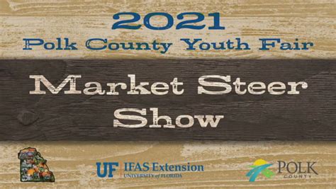 2022 Market Steer Show - Polk County Youth Fair : Polk Government : Free Download, Borrow, and ...