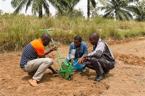 African youth bring innovations to farming