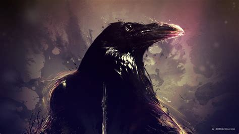 Raven Wallpaper 4k