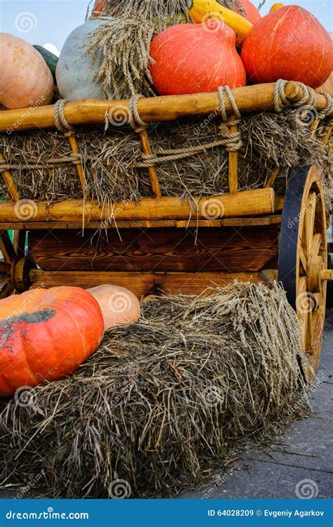 Celebrating Autumn Harvest Festival. Stock Image - Image of country, garden: 64028209