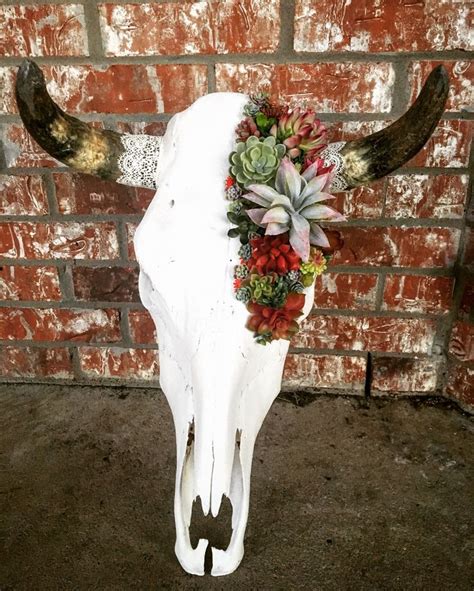 Succulent cow skull with lace @skullsbyashley instagram SkullsByAshley ...