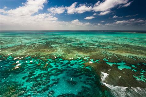 Great Barrier Reef, The Largest Coral Reef Tourism in The World ...