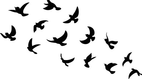 Flock Of Birds Silhouette Vector Art, Icons, and Graphics for Free Download