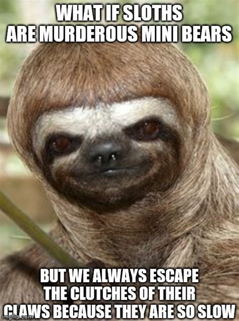 50+ Hilarious Sloth Memes To Brighten Your Day