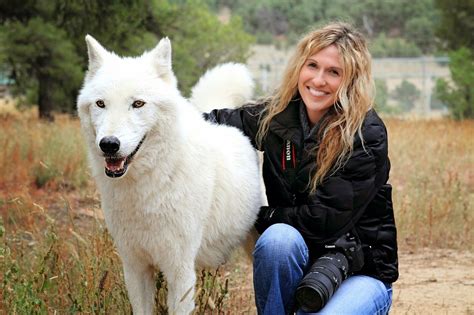 White Wolf Hybrid Dogs