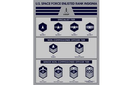 Space Force rank insignia sends senior enlisted members symbolically ...