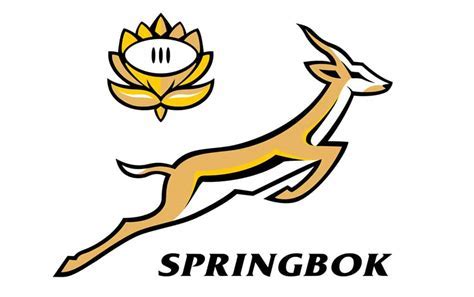 Springbok Logos