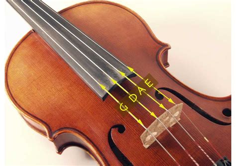 violin structures