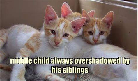 8 Middle Child Day Memes That Every Middle Child Can Relate To, Because ...