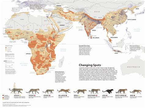 Leopard range and habitat. : r/MapPorn