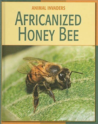 Africanized Honey Bee | RIF.org