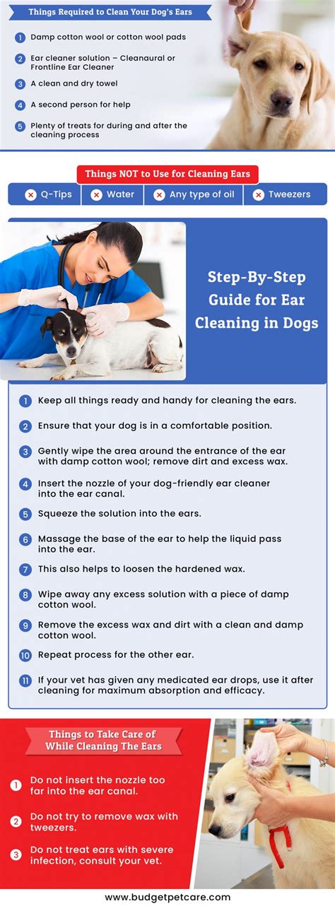 Vet-Approved Guide for Cleaning Your Dog’s Ears