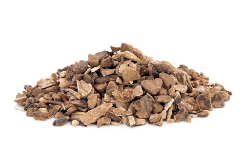 Wild Yam Root Dioscorea Villosa (Wild Yam) Root Extract - Bio-Botanica