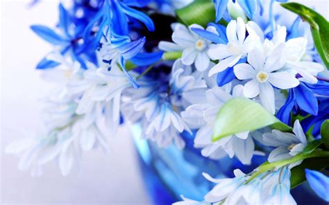 Blue Wallpaper with White Flowers - WallpaperSafari