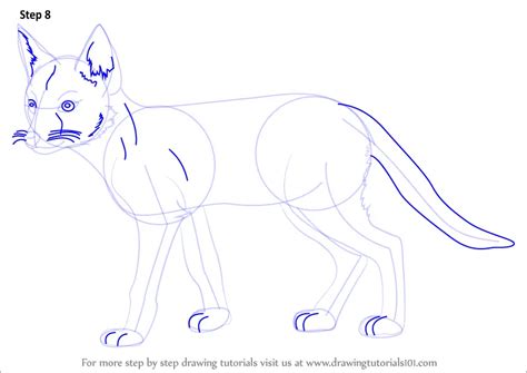 How to Draw a Swift Fox (Wild Animals) Step by Step ...