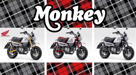 New 2023 Honda Monkey Review, Specs, and Price