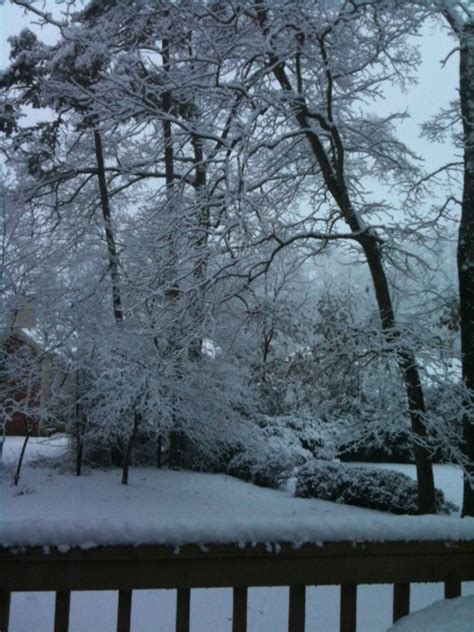 The Beauty of Snowflakes in Haiku - LetterPile