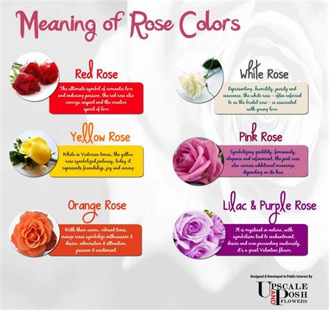 Meaning of Rose Colors Infographic | Rose color meanings, Red and white ...