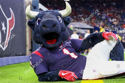 Houston Texans Mascot Toro Poses Photo Editorial Stock Photo - Stock Image | Shutterstock