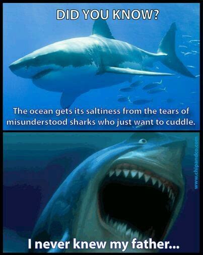 The best finding nemo memes :) Memedroid