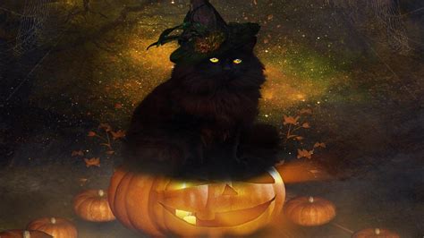 ~Halloween Black Cat~ HD desktop wallpaper : Widescreen : High Definition : Fullscreen