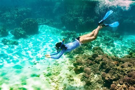 The 10 Best Snorkeling Spots In Nassau, The Bahamas | Sandals