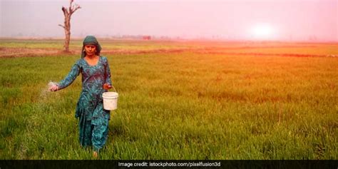 Renaming Of Haryana Village After Donald Trump Called As A Fraud Event, Banners Were Removed | News