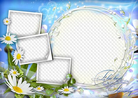 Family Photo Collage with Beautiful daisies free psd png frame free download