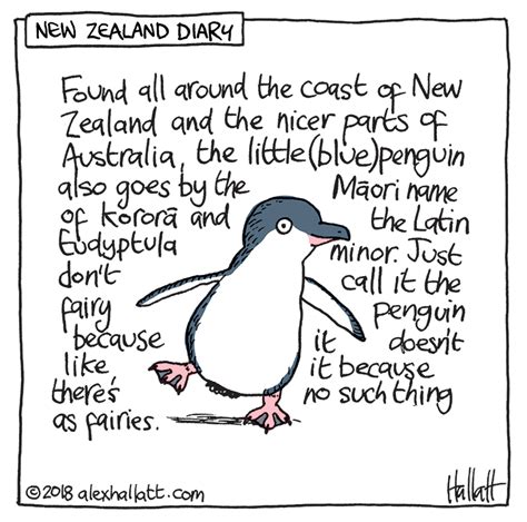 Living in New Zealand: Little Blue (Don't Call Them Fairy) Penguins — Alex Hallatt