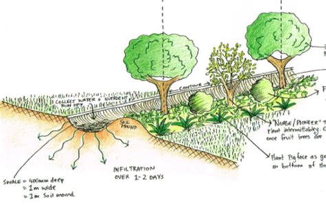 Swale Pathways | Good Life Permaculture