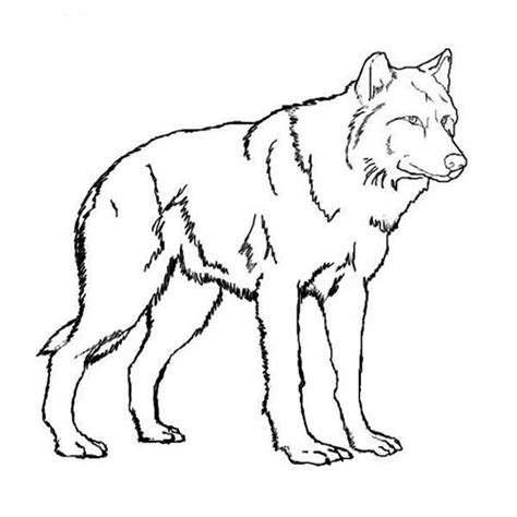 Scary Wolf Drawing at GetDrawings | Free download