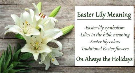 Easter Lily Meaning and Symbolism - Lilies in the Bible, Easter Lily Colors