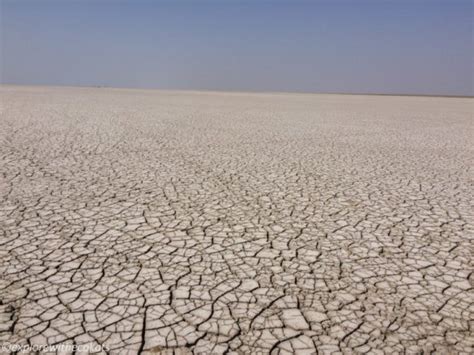 Salt pans of Little Rann of Kutch - Explore with Ecokats