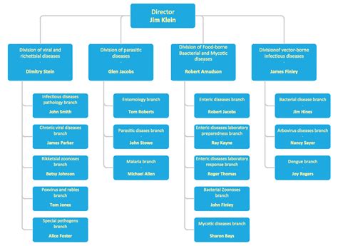 It Company: Organizational Chart For It Company