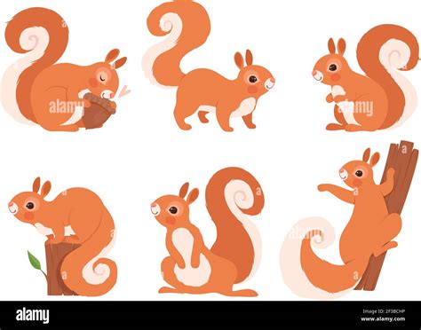 Squirrel wild pose Cut Out Stock Images & Pictures - Alamy