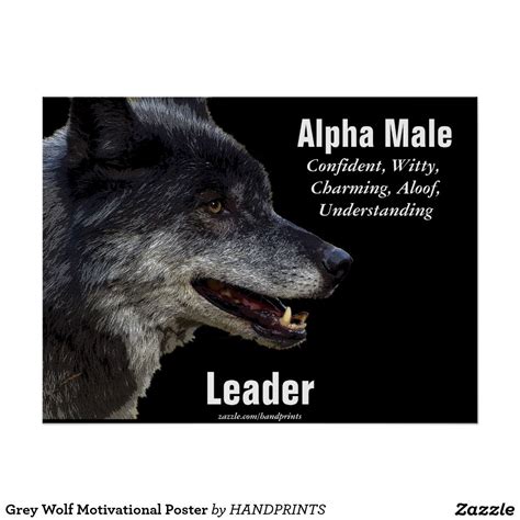 Grey Wolf Motivational Poster | Zazzle | Alpha male quotes, Lone wolf quotes, Wolf quotes