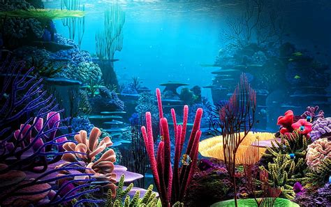 Underwater Reef Wallpaper Hd