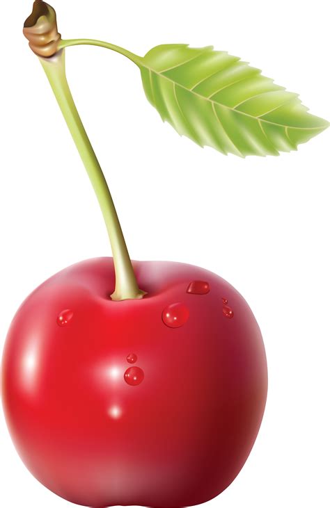 Cherry PNG images, free download