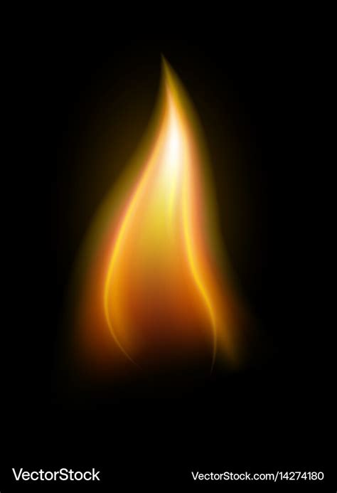 Realistic candle flame element Royalty Free Vector Image