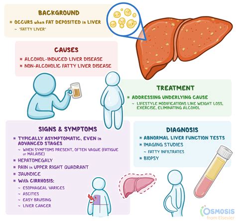 Hepatic Steatosis: What Is It, Causes, Diagnosis | Osmosis