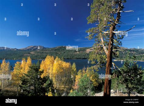 Caples Lake, Sierra Nevada, Highway, 88, California, USA, United States ...