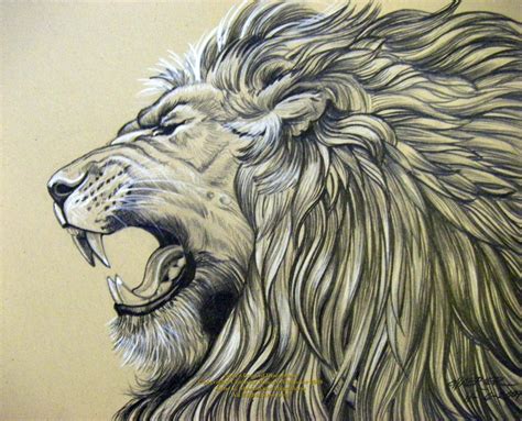 Lion Face Drawing at GetDrawings | Free download