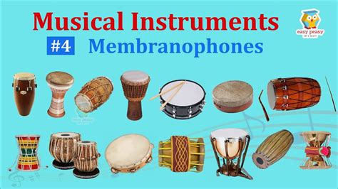 Membranophones: 14 Musical Instruments, Pictures & Sounds ...