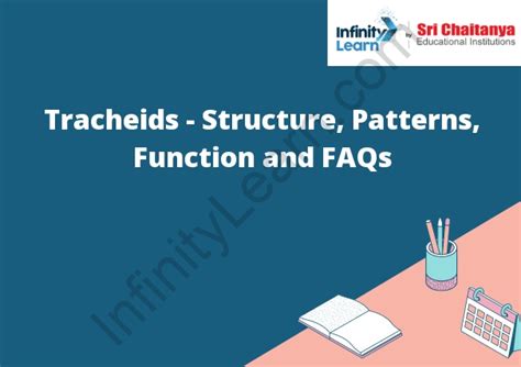 Tracheids - Structure, Patterns, Function and FAQs - Infinity Learn by Sri Chaitanya