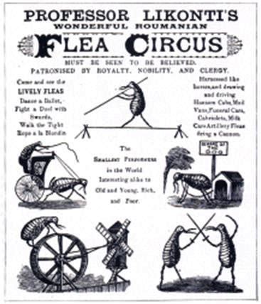 Image Odyssey: Vintage Flea Circus | SheWalksSoftly