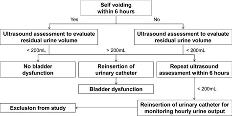 Urinary Catheter Concept Map