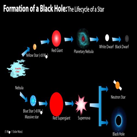 Birth Of The Cycle Of A Black Hole