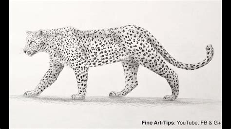 Leopard Drawing